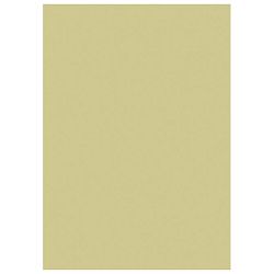 Papir u boji A4 300g pk50 Heyda 20-47165 94 zlatni