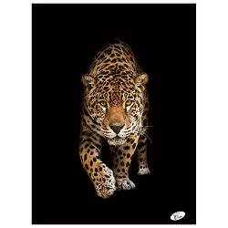 Teka meki uvez A4 crte 40+2L 80g Animal Elisa sortirani motivi