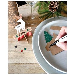 Set DIY KIT XMas Place Cards Pintor Pilot blister