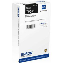 EPS-2463_1.jpg
