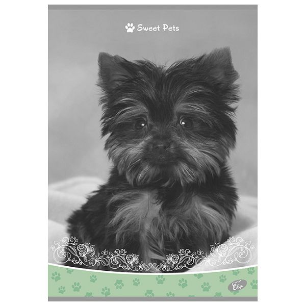 Teka meki uvez A4 karo 40+2L 80g Sweet pets Elisa sortirani motivi