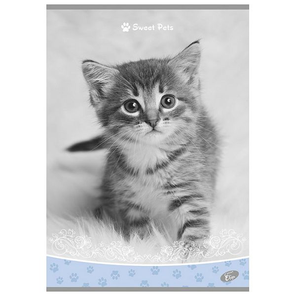 Teka meki uvez A4 karo 40+2L 80g Sweet pets Elisa sortirani motivi