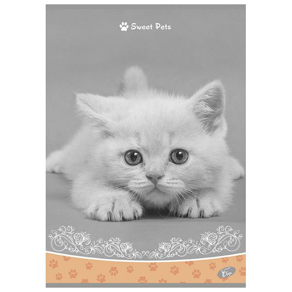 Teka meki uvez A4 karo 40+2L 80g Sweet pets Elisa sortirani motivi