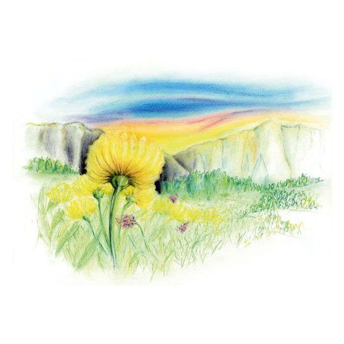 Pastela suha 36boja Design Journey Staedtler 2430 C36 blister