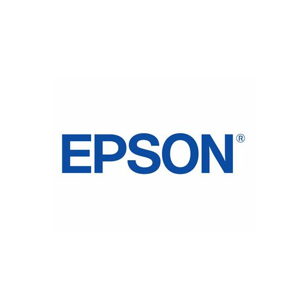 EPSON UltraChrome DG Cyan T72520N 600ml