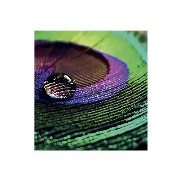 EPSON Production Photo Paper Semigloss